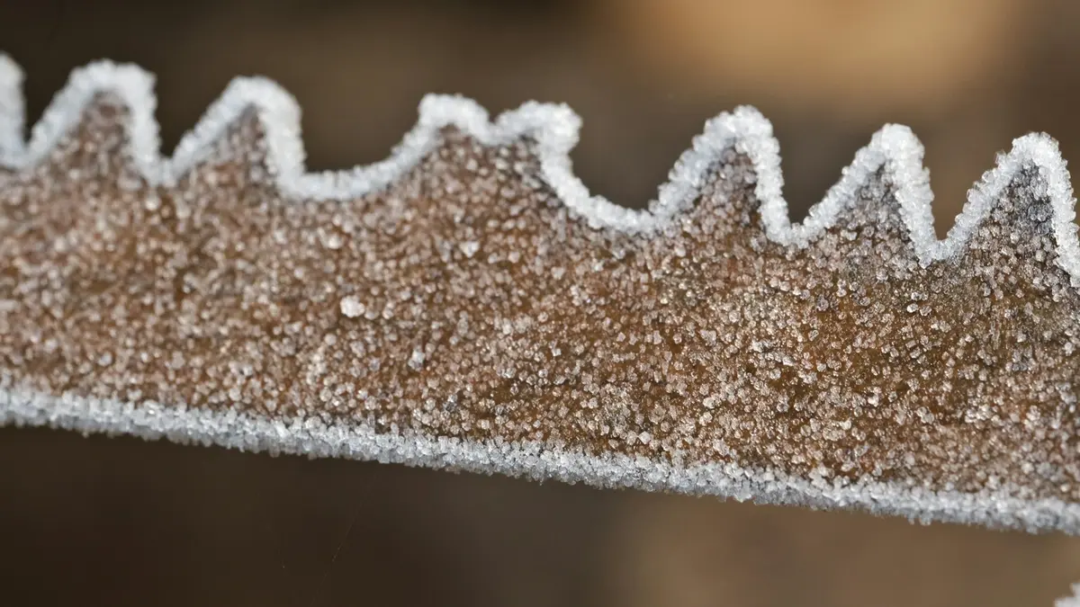 Worn oscillating tool blade covered in frost, highlighting significant wear and tear.